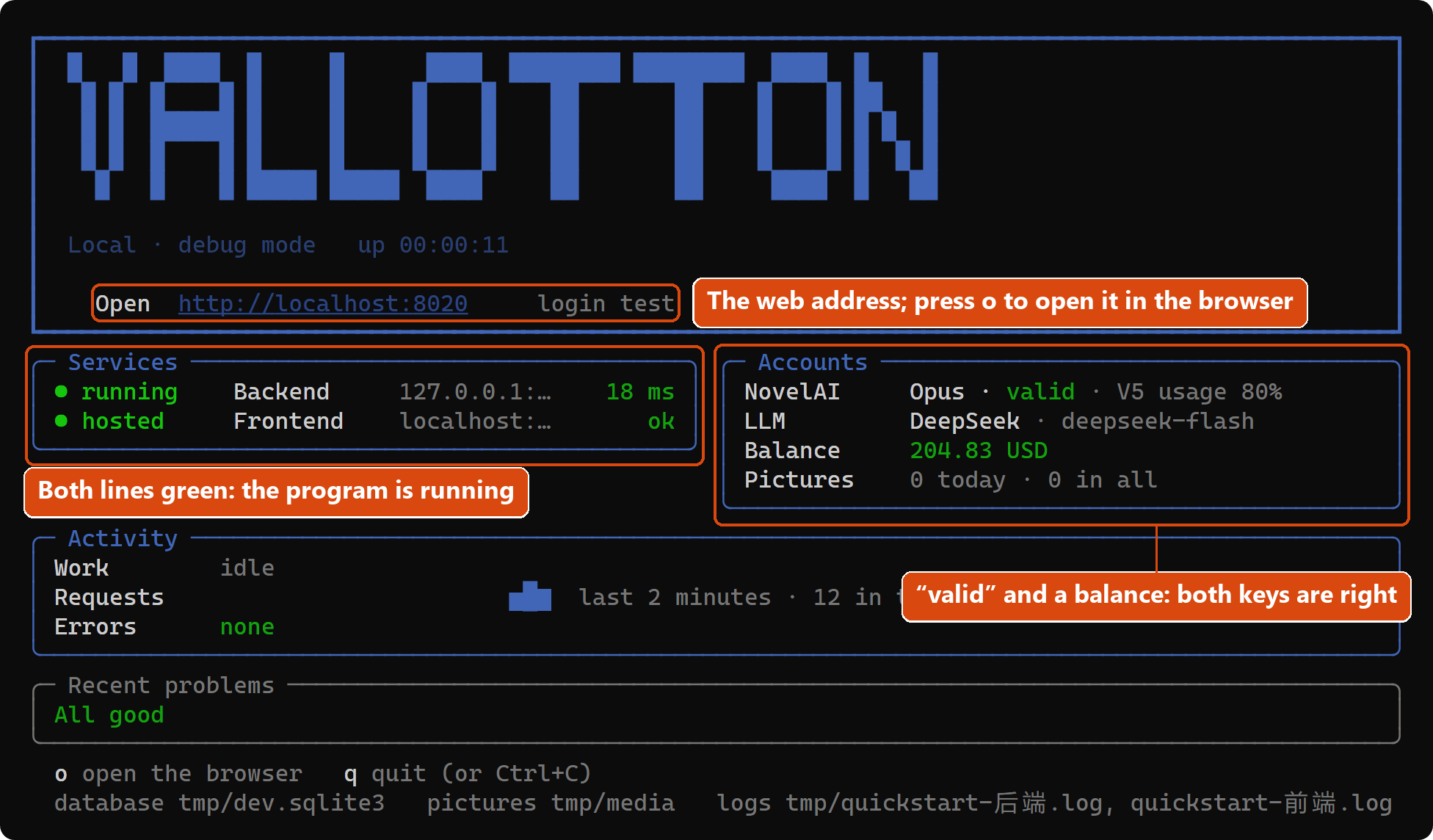 The status panel after a successful start: the word VALLOTTON and the web address at the top, then the services, the accounts, the activity and the recent problems. The address, the services and the accounts are marked with orange boxes